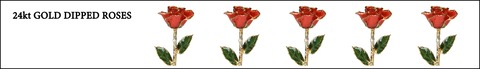 24k Gold Dipped Roses